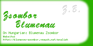 zsombor blumenau business card